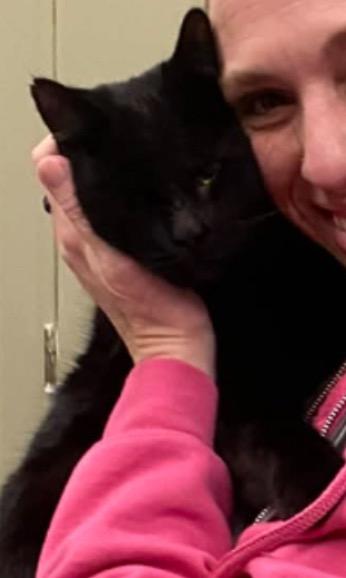 Enlarge FREDDIE, a Adopted mixed breed in Muskegon, MI image 1/1