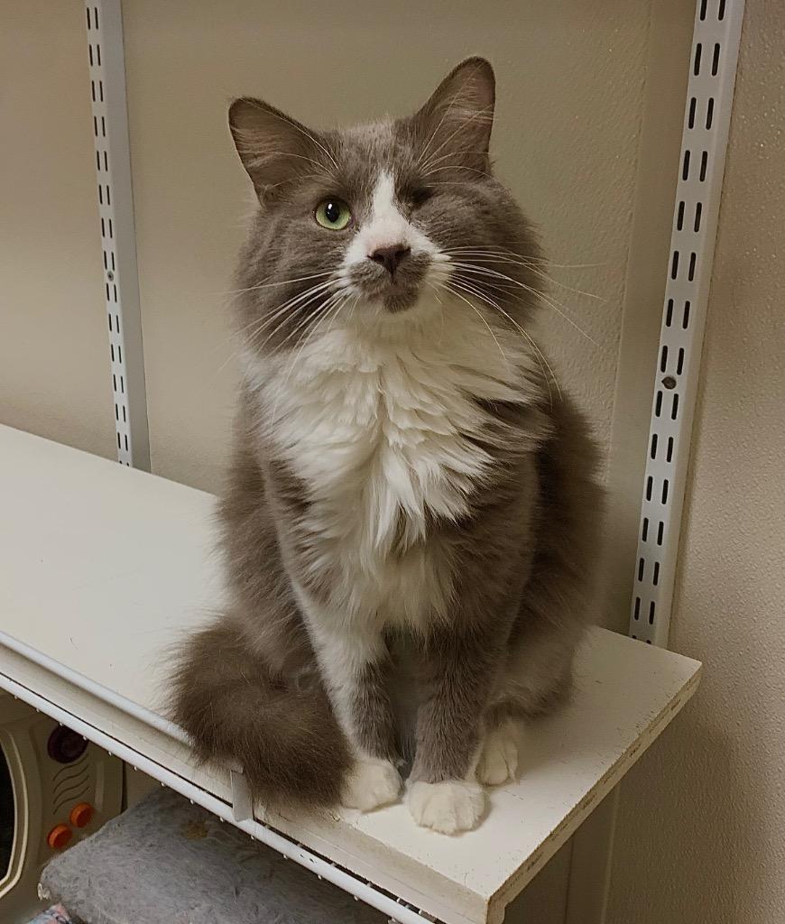 Ivan — thumbnail 5