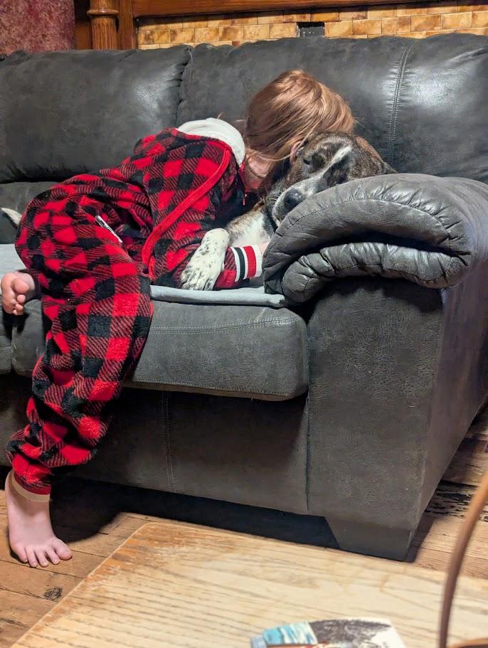 Enlarge Turkey, a ADOPTABLE mixed breed in Lisbon, OH image 2/6