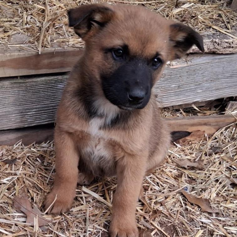 Private — thumbnail 2