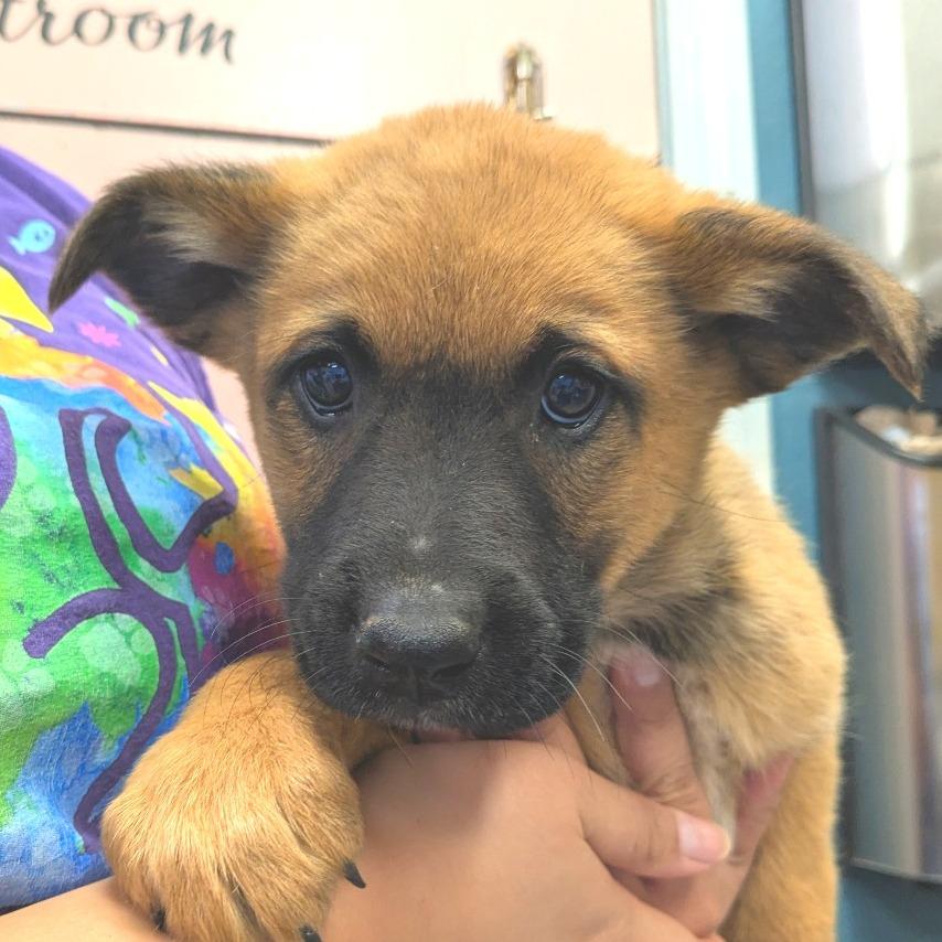 Private — thumbnail 3