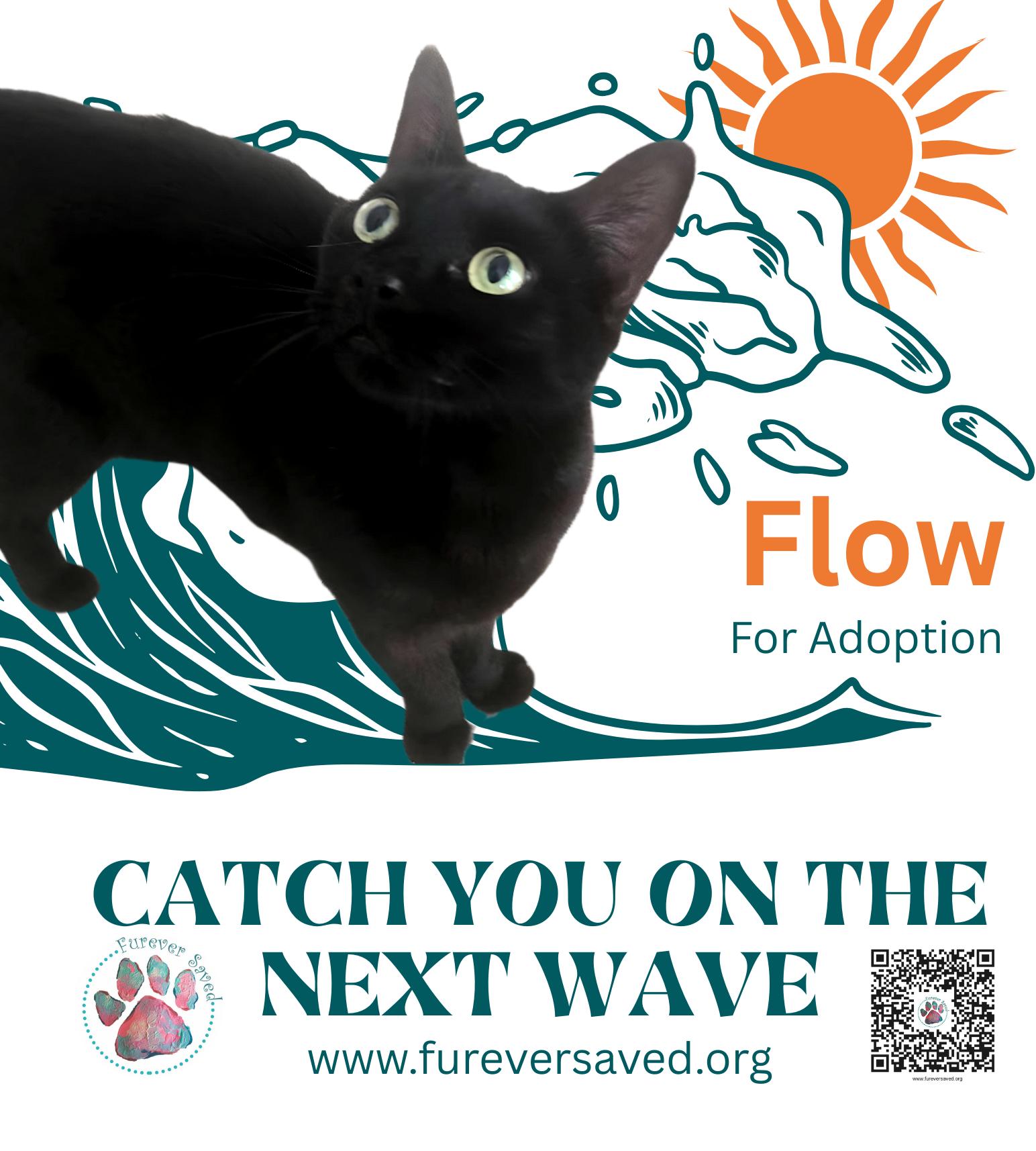 Flow photo 5