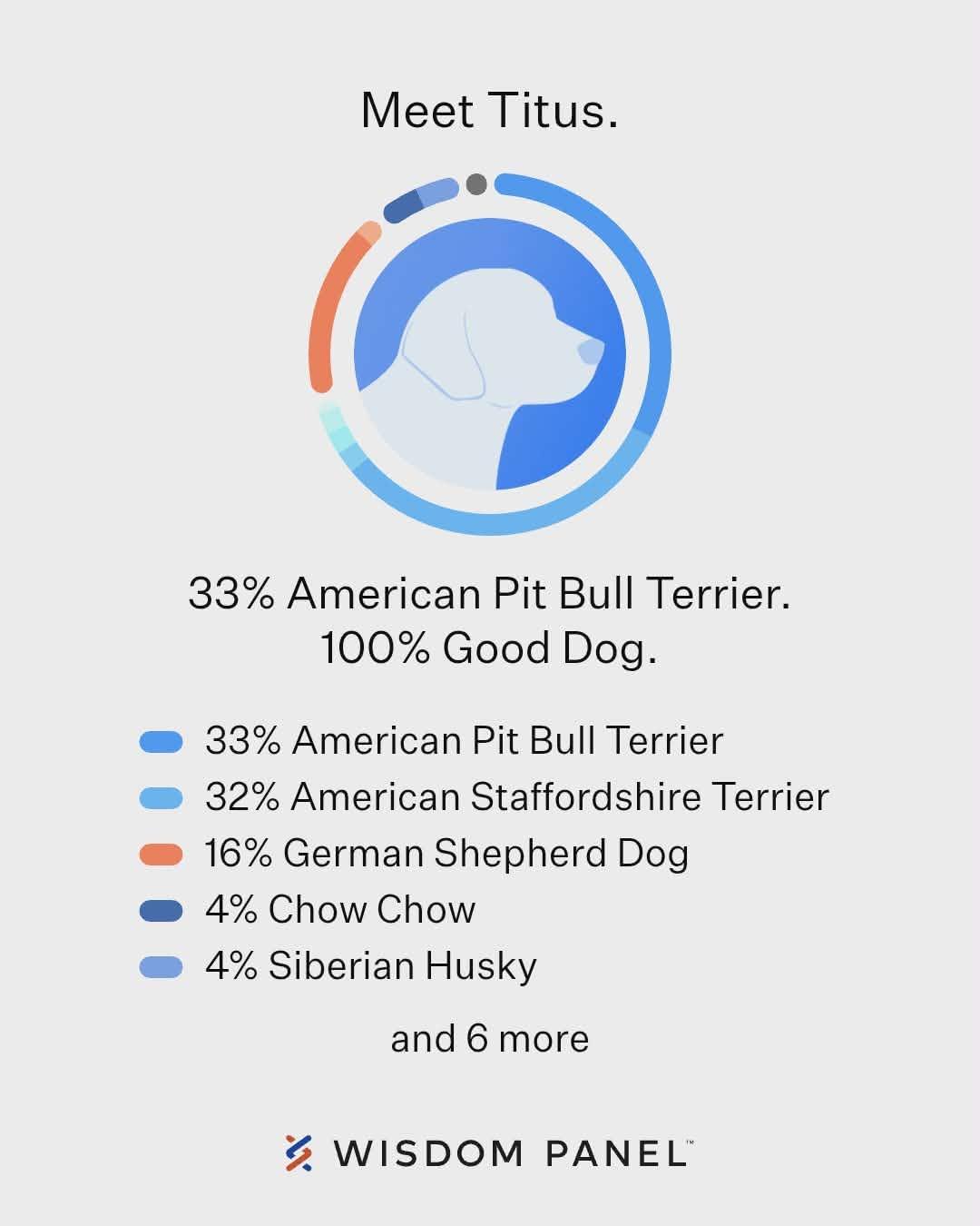 Enlarge Titus, a Adoptable Pit Bull Terrier in Lewiston, ID image 4/4