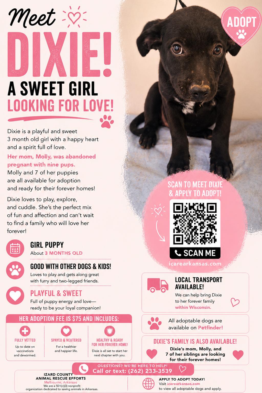 Enlarge Dixie, a ADOPTABLE mixed breed in Melbourne, AR image 2/3