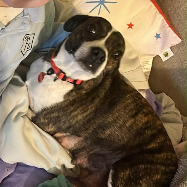 Marnie — thumbnail 2