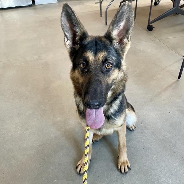 Wrangler thumbnail 3