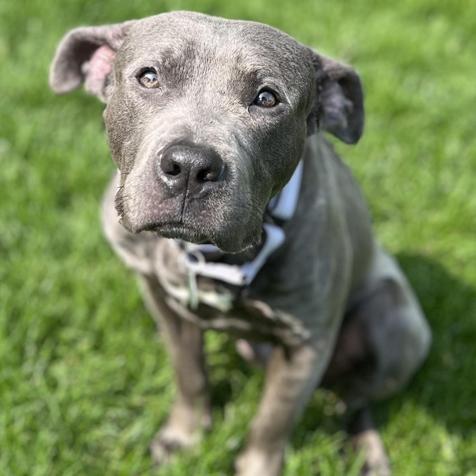 Odin