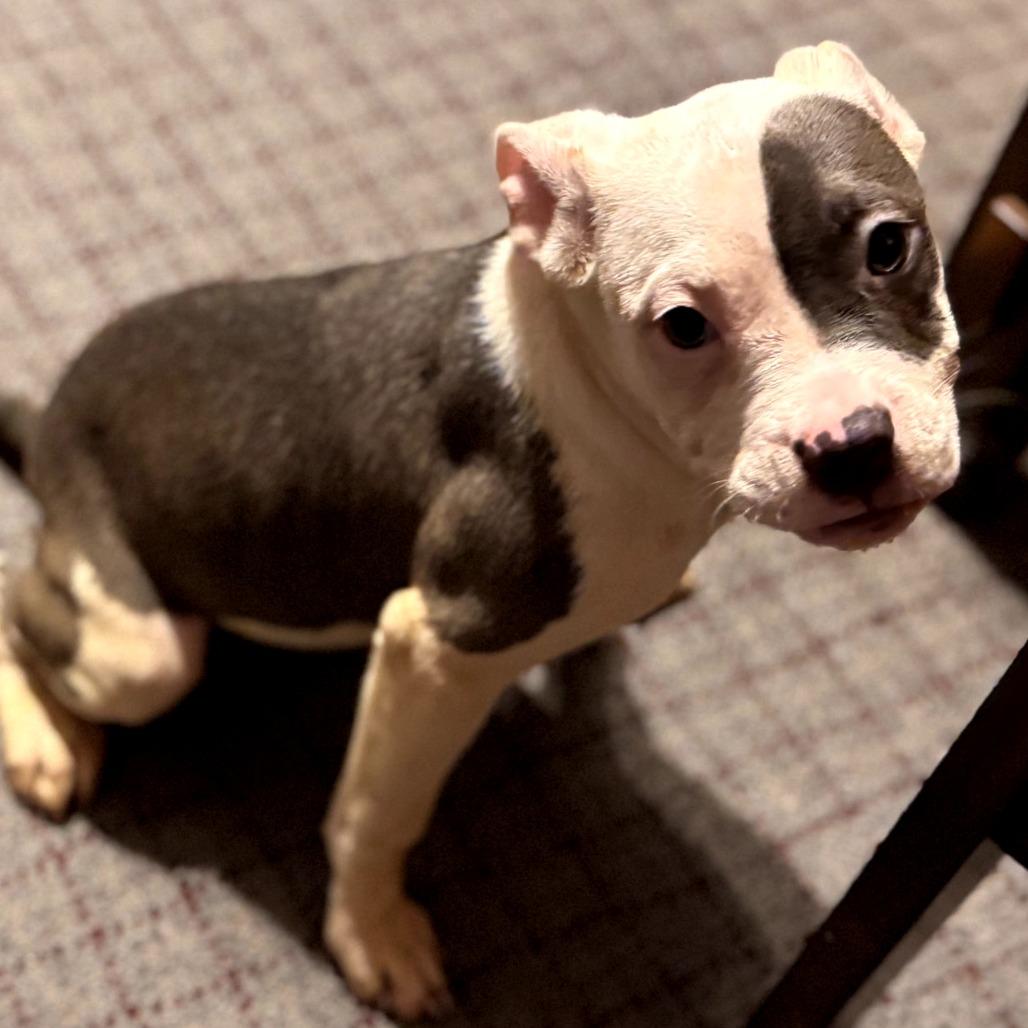 Left Eye — thumbnail 2