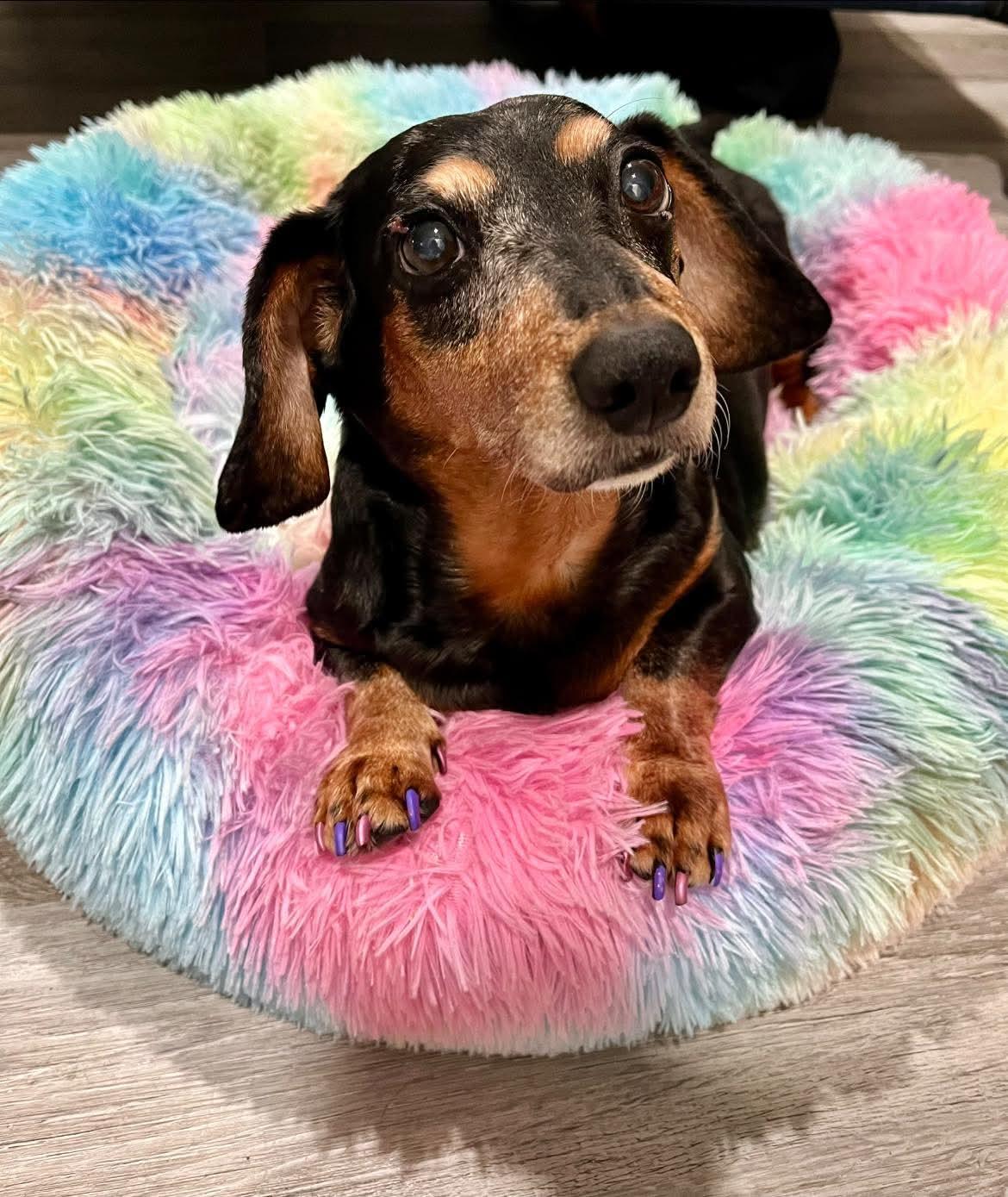 Penny