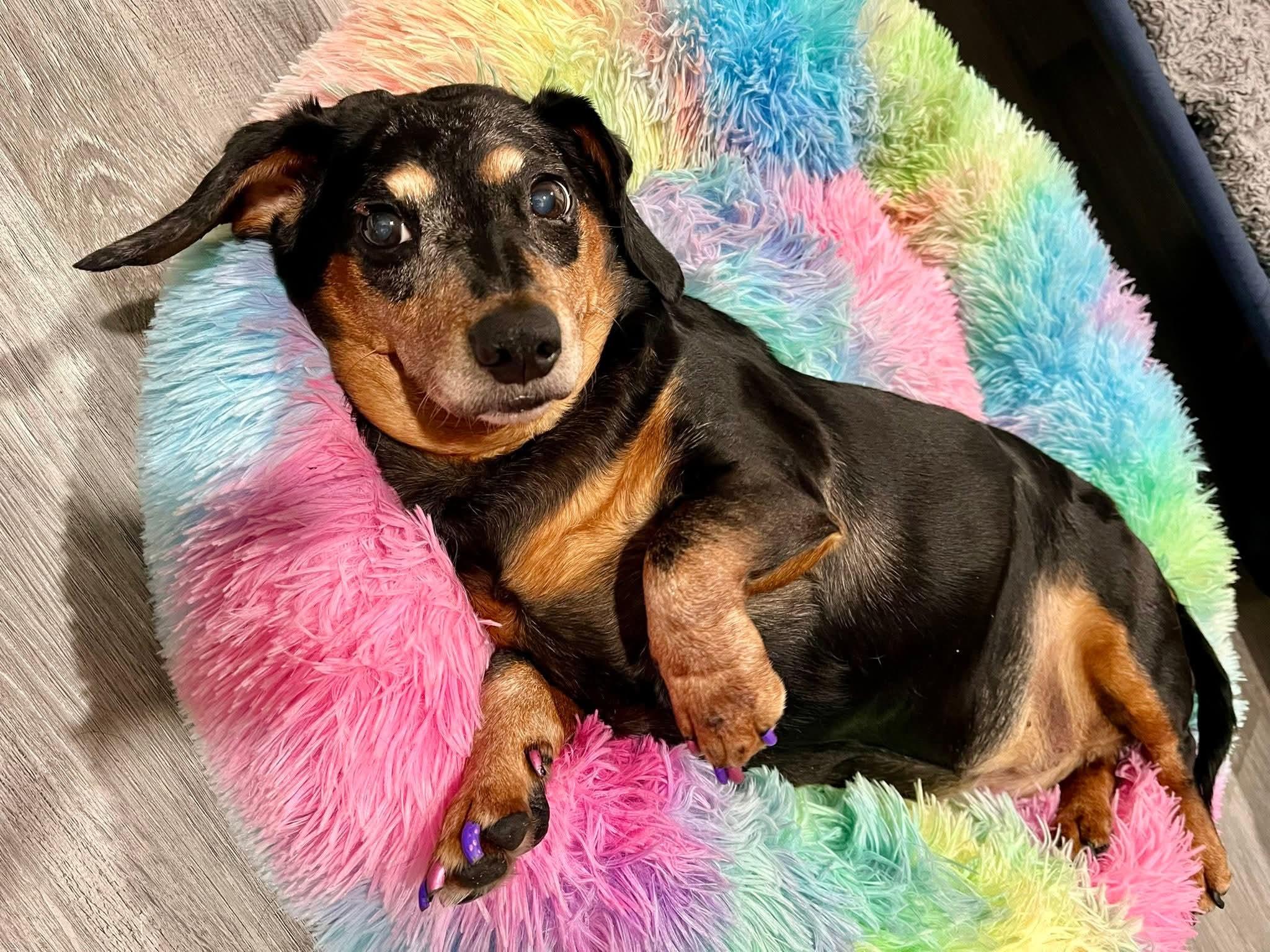 Penny