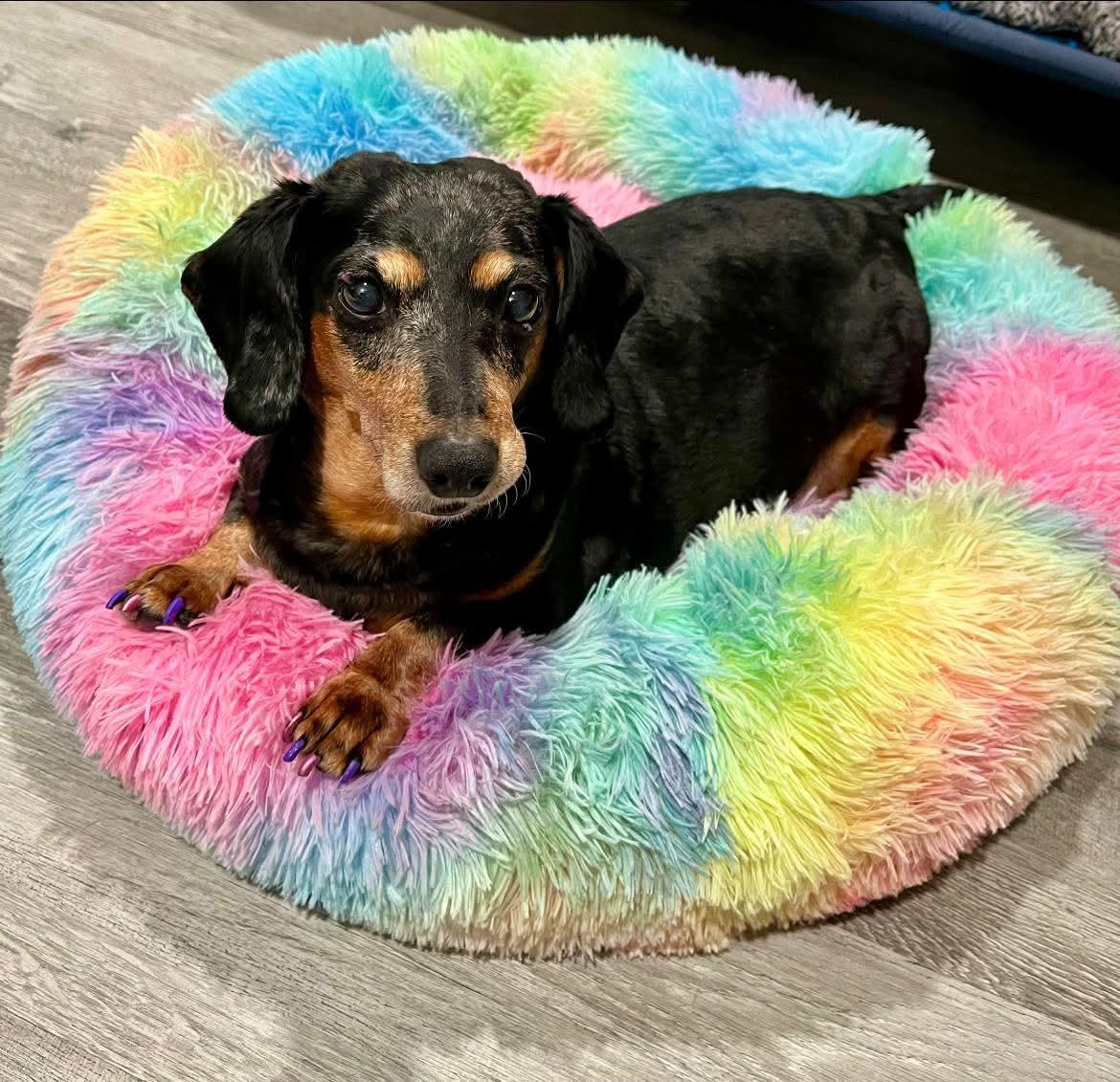 Penny