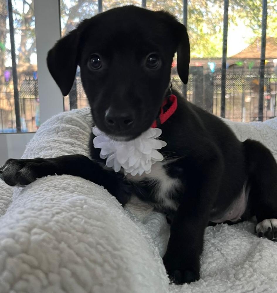 Maya — thumbnail 3