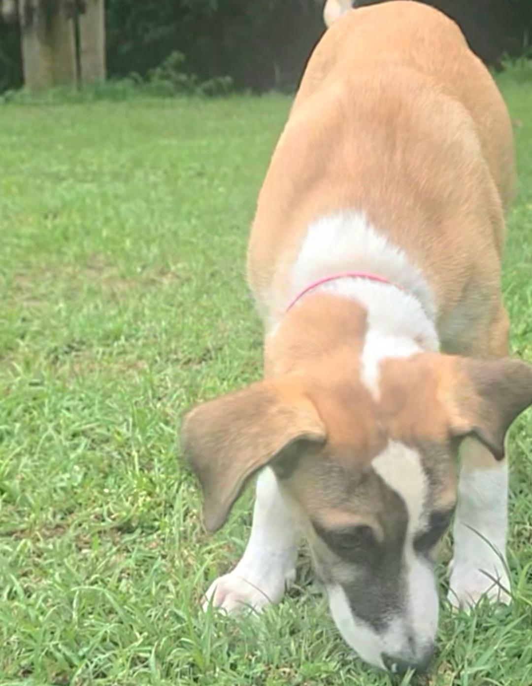 BINGO BILLY "I bet you will love me." 3