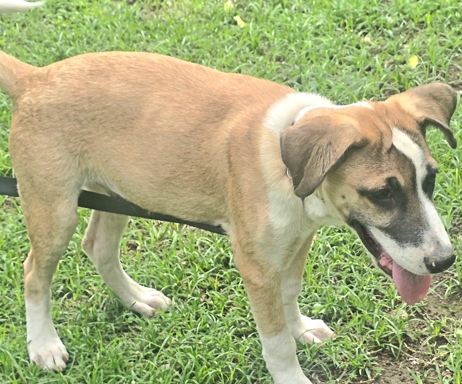 BINGO BILLY "I bet you will love me." 2