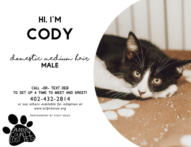 Cody