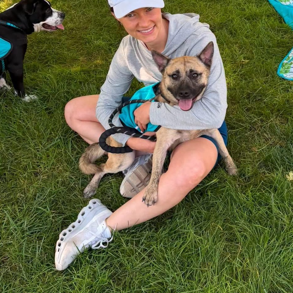 Enlarge Ricky, a Adopted mixed breed in INDIANAPOLIS, IN image 3/6