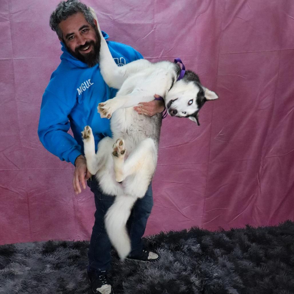 Enlarge Braxton, a Adoptable Husky in San Jacinto, CA image 4/6