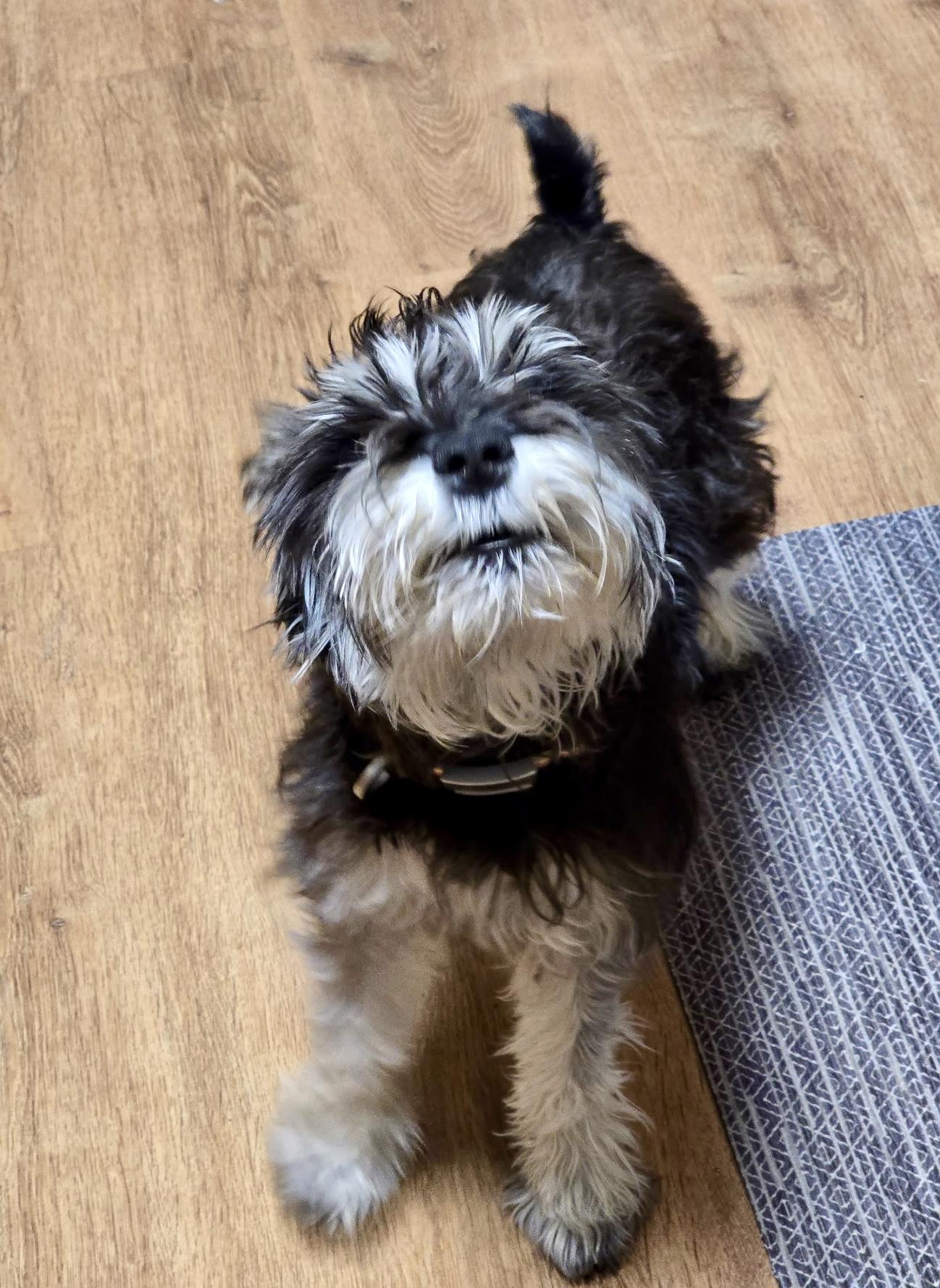 Scotland thumbnail 4