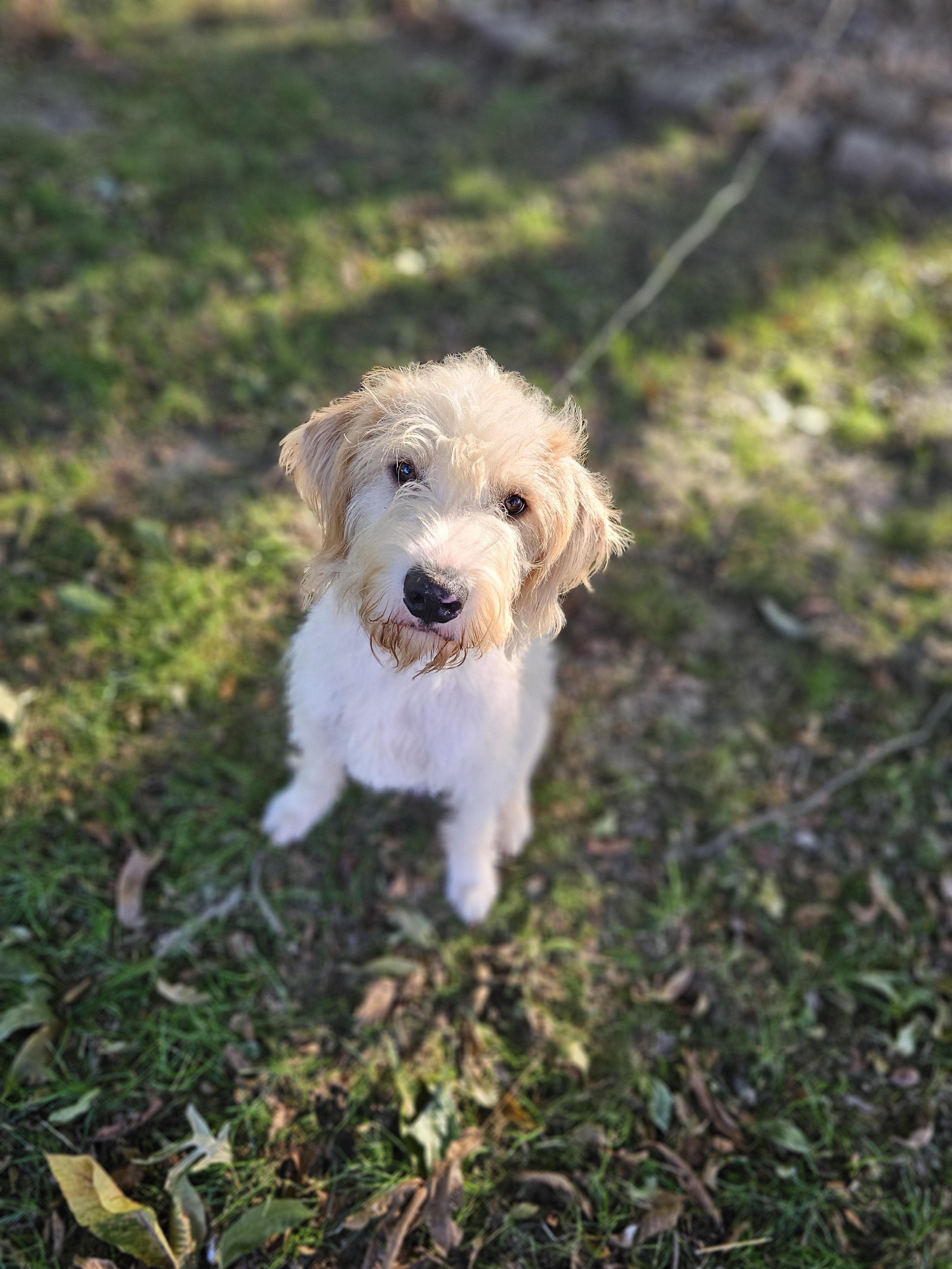 Dude Aka Dibs thumbnail 4