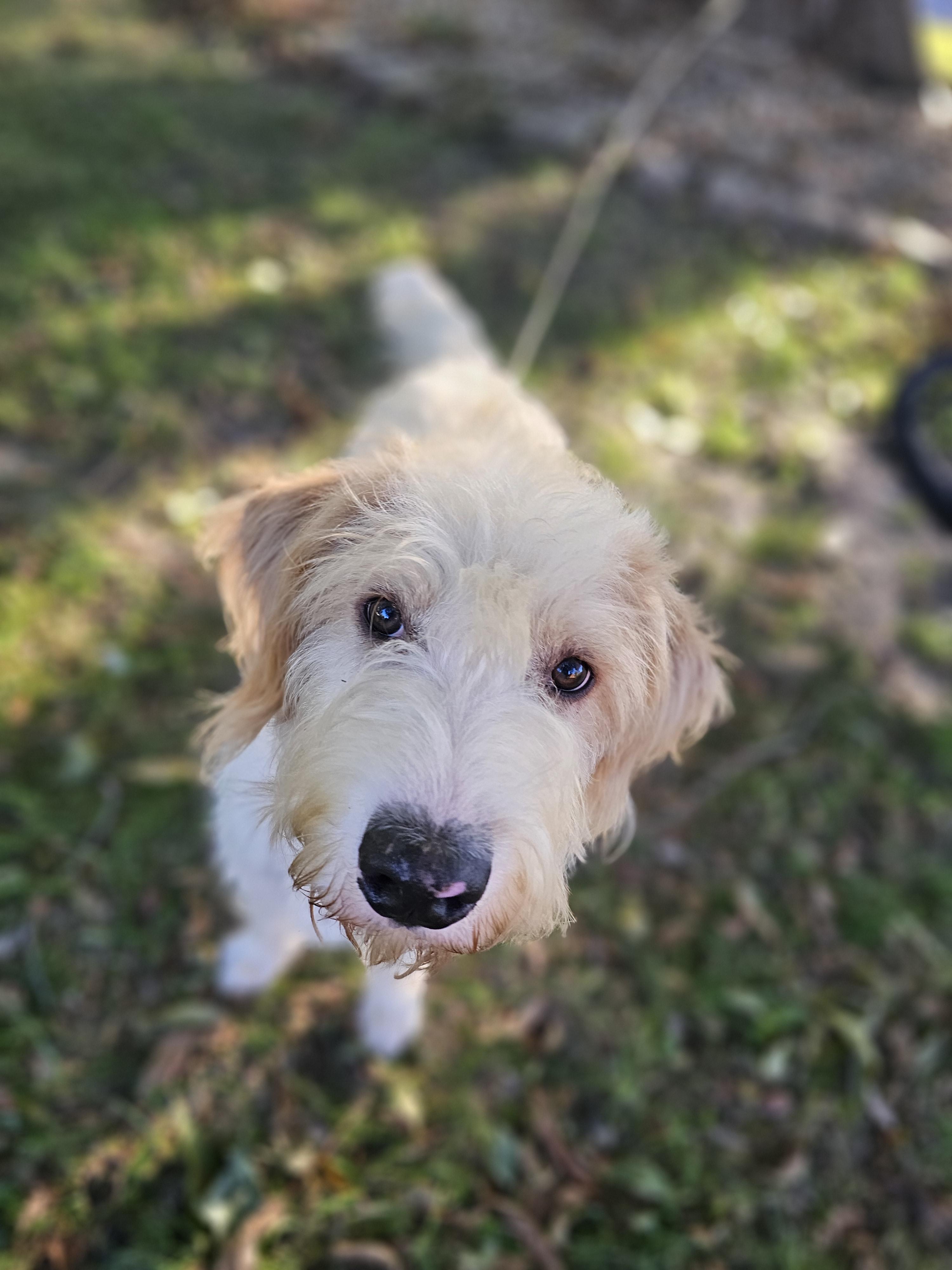 Dude Aka Dibs thumbnail 2