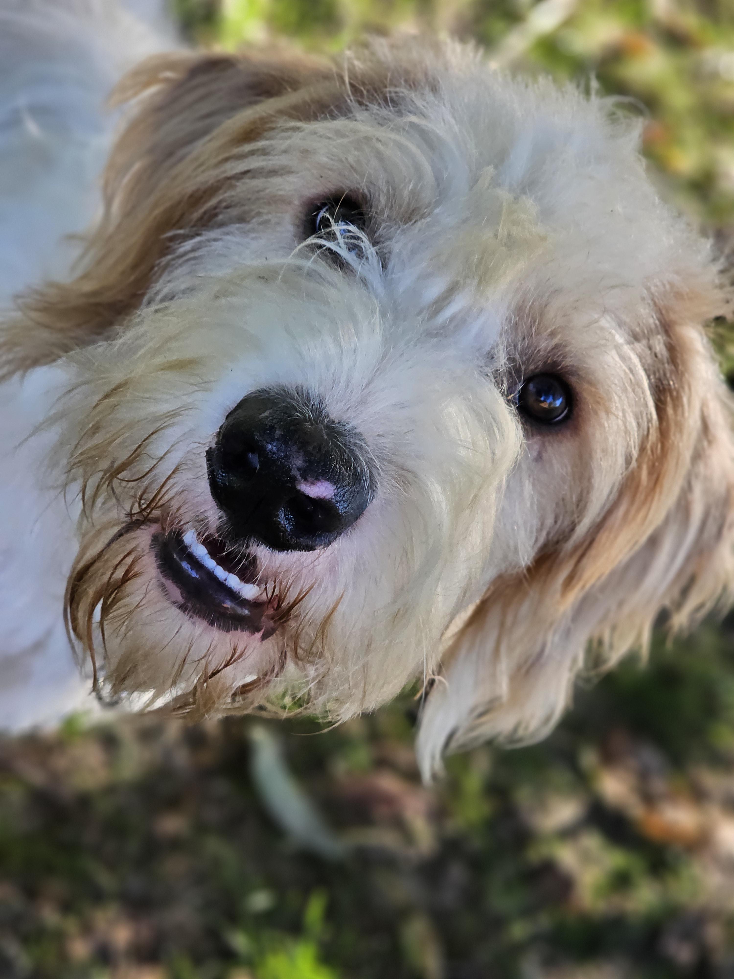 Dude Aka Dibs thumbnail 3