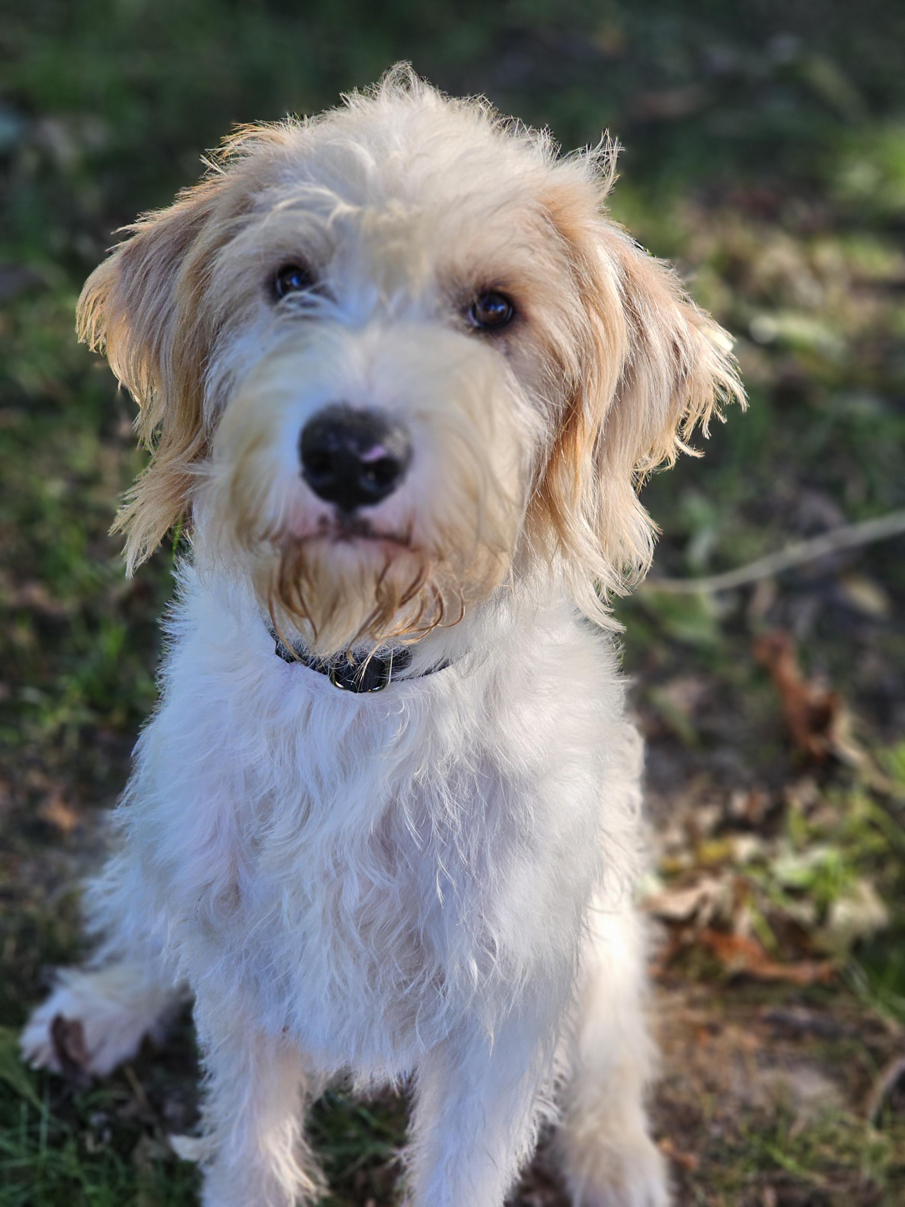 Dude Aka Dibs thumbnail 5