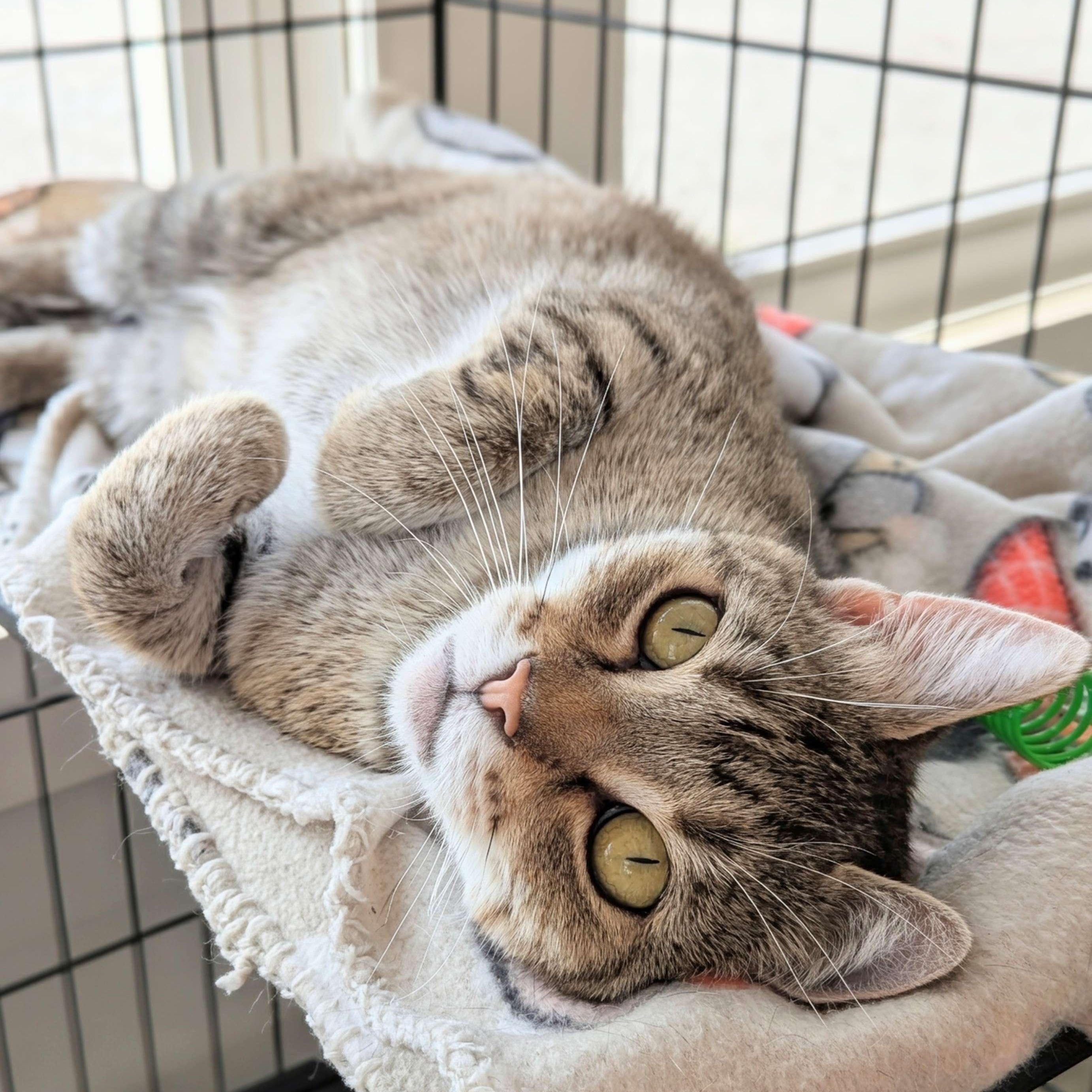 Jasmine - Personal Assistant-FEE WAIVED