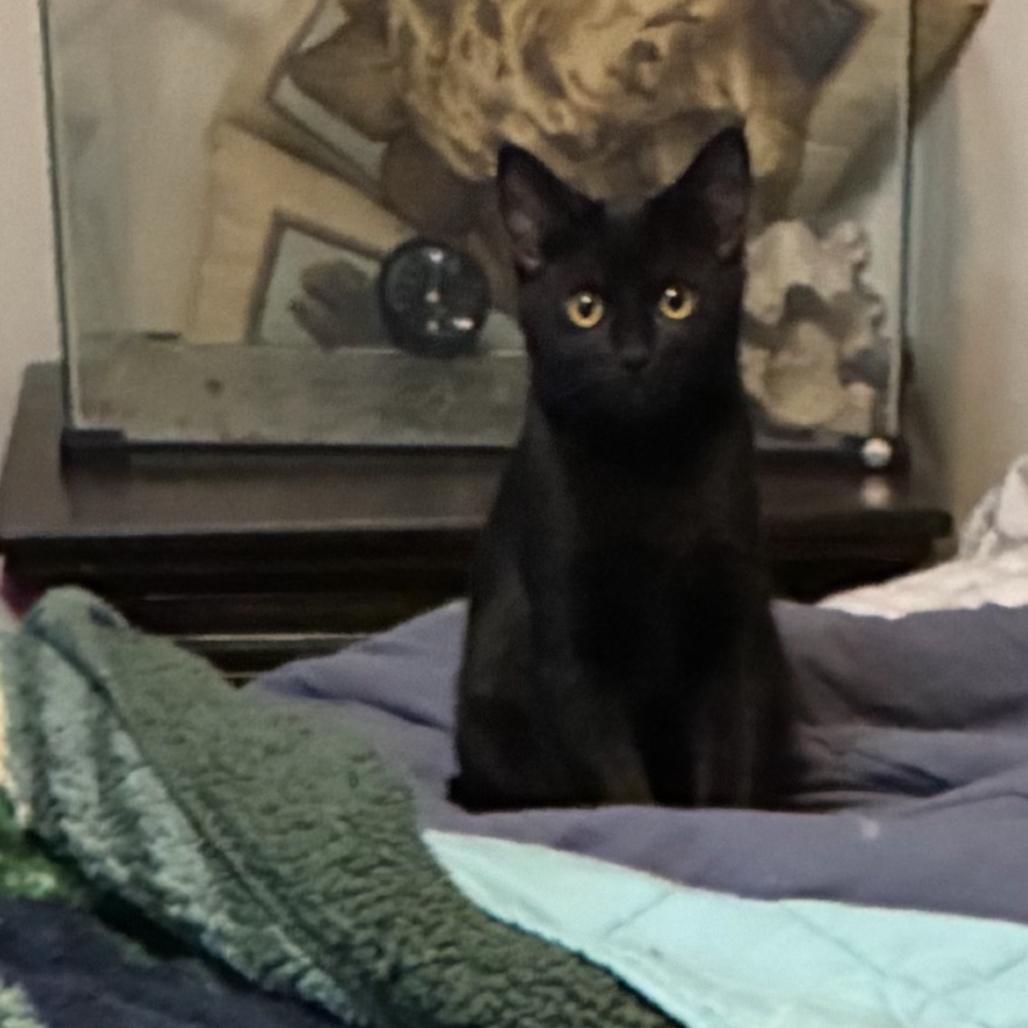Photo of Baby Spice
