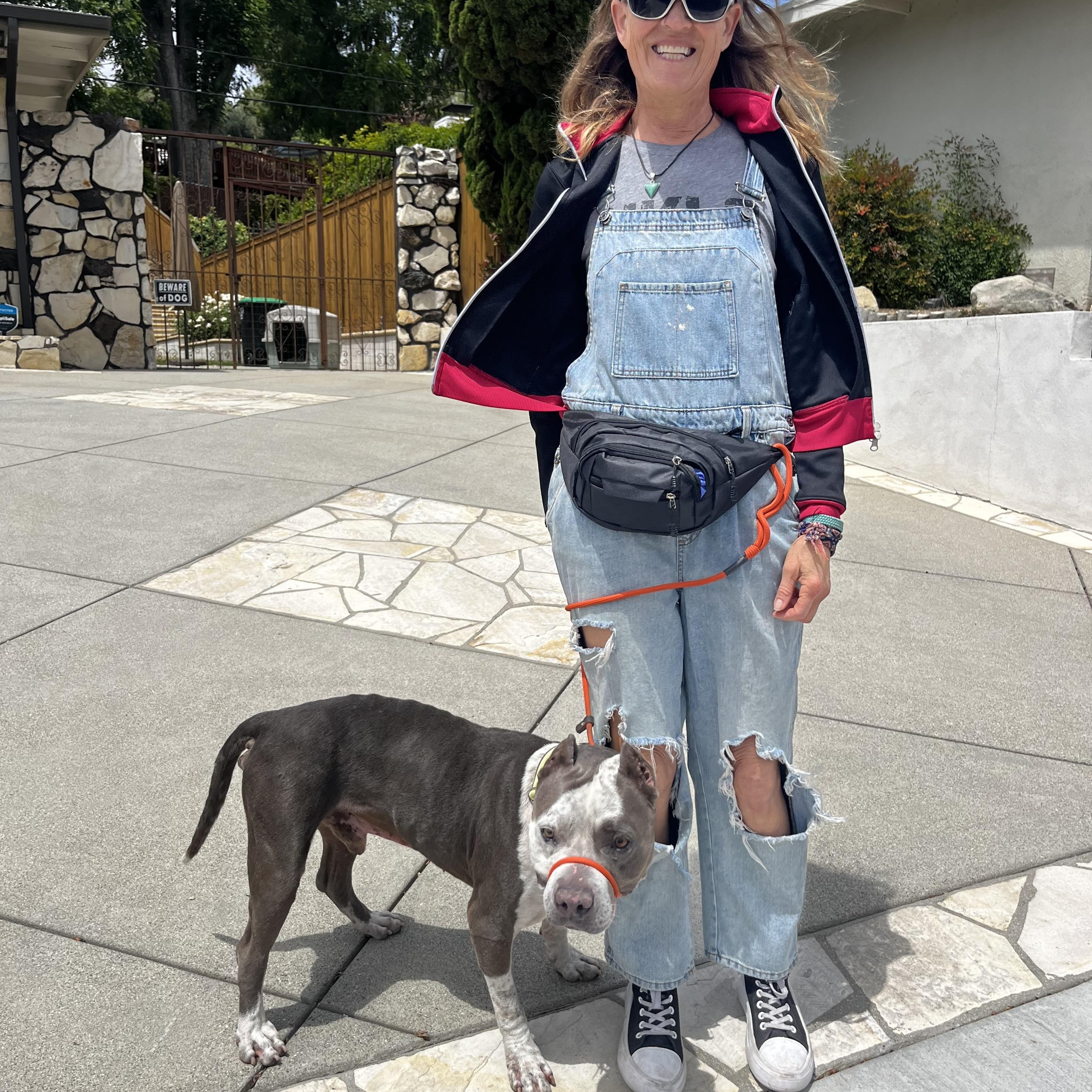Rocco, a Adoptable Pit Bull Terrier in Portland, CA image 5/6