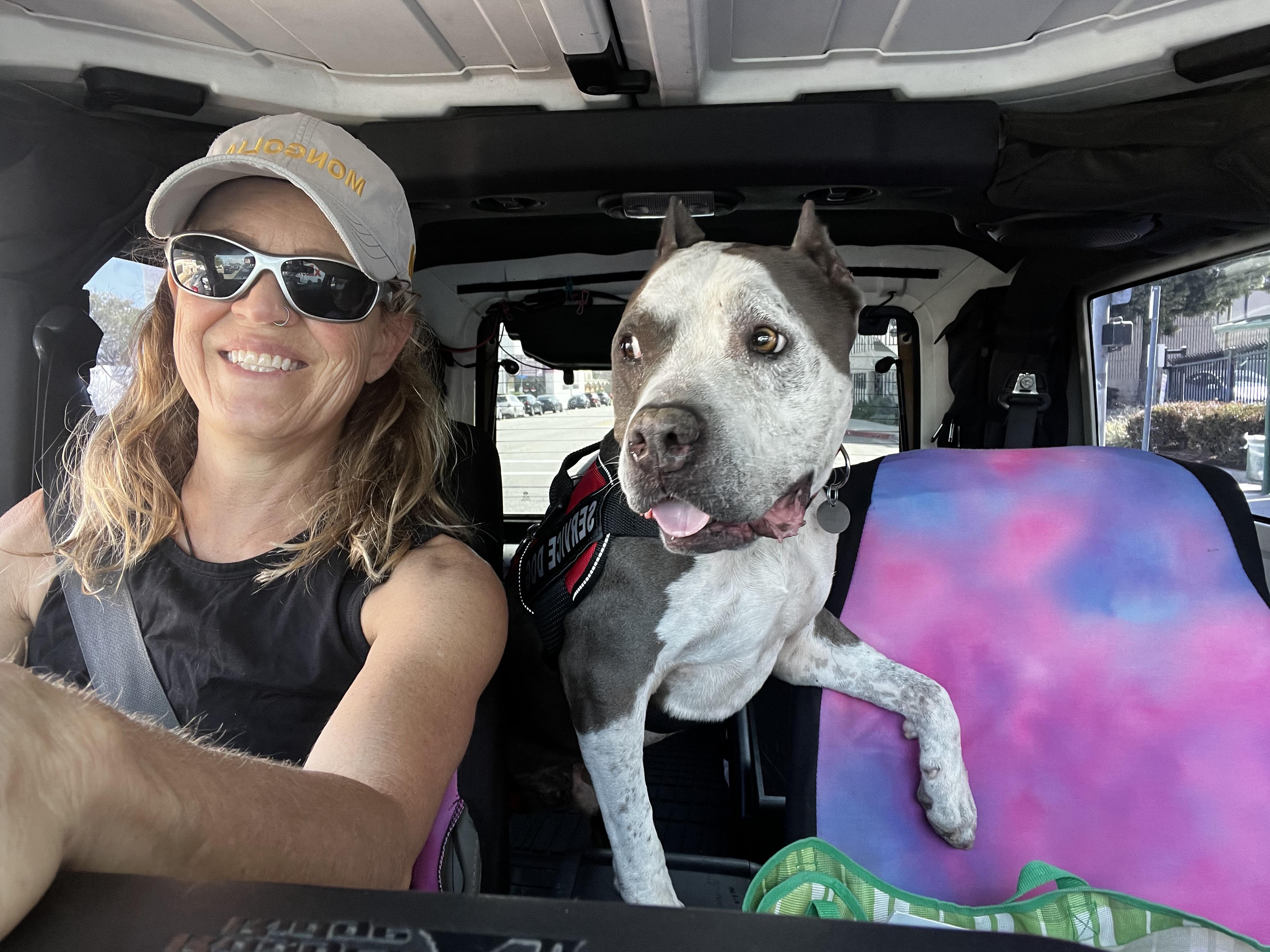 Rocco, a Adoptable Pit Bull Terrier in Portland, CA image 2/6