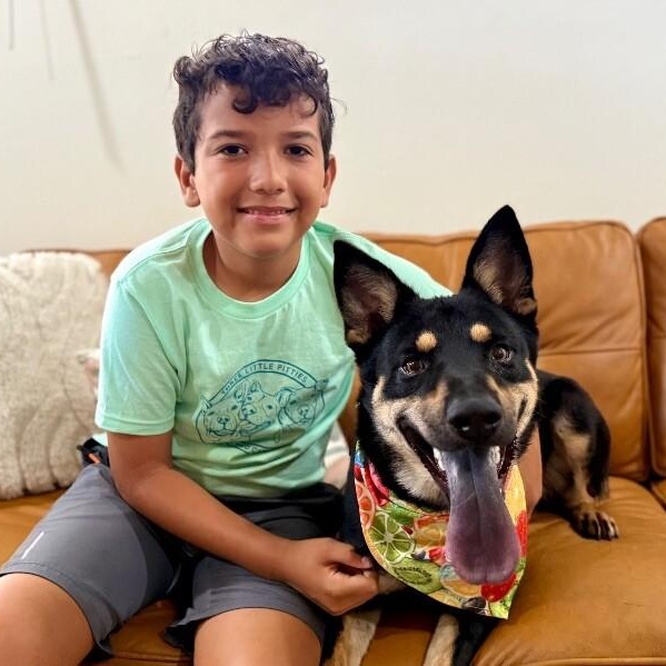 Rocky a ball-loving good time — thumbnail 3