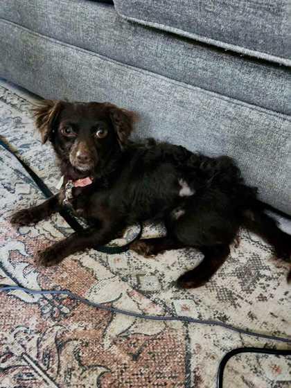 Coco Chanel, Young Female unknown