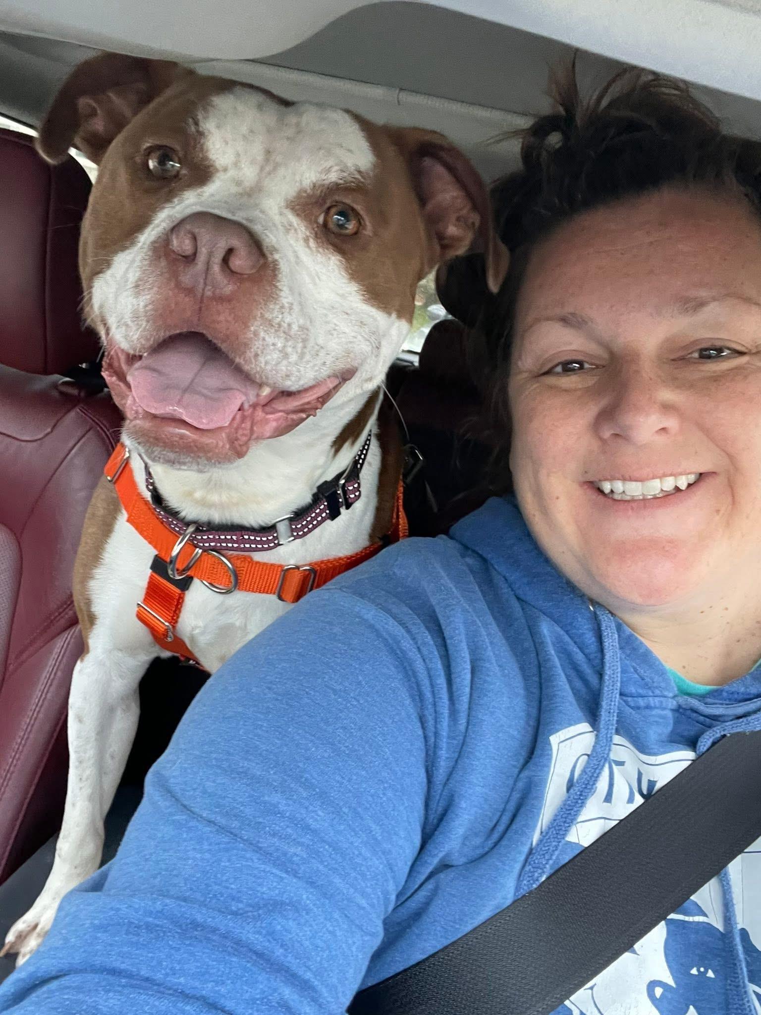 Tank, a Adoptable mixed breed in Cleveland, OH image 5/6