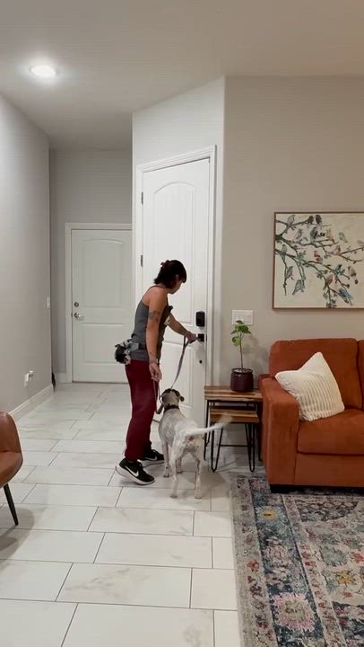 Enlarge Saint, a ADOPTABLE mixed breed in Scottsdale, AZ video 4/4