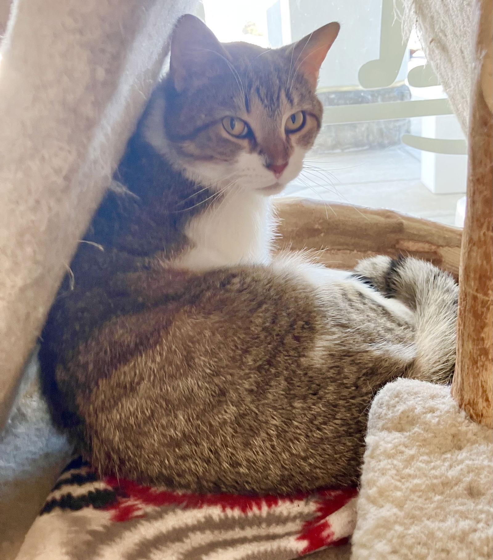 Kris Kringle — thumbnail 2