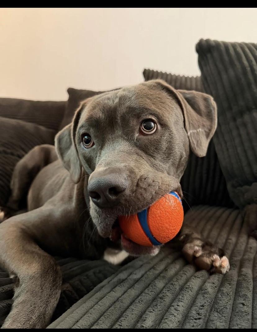 Mr. Putnam thumbnail 4