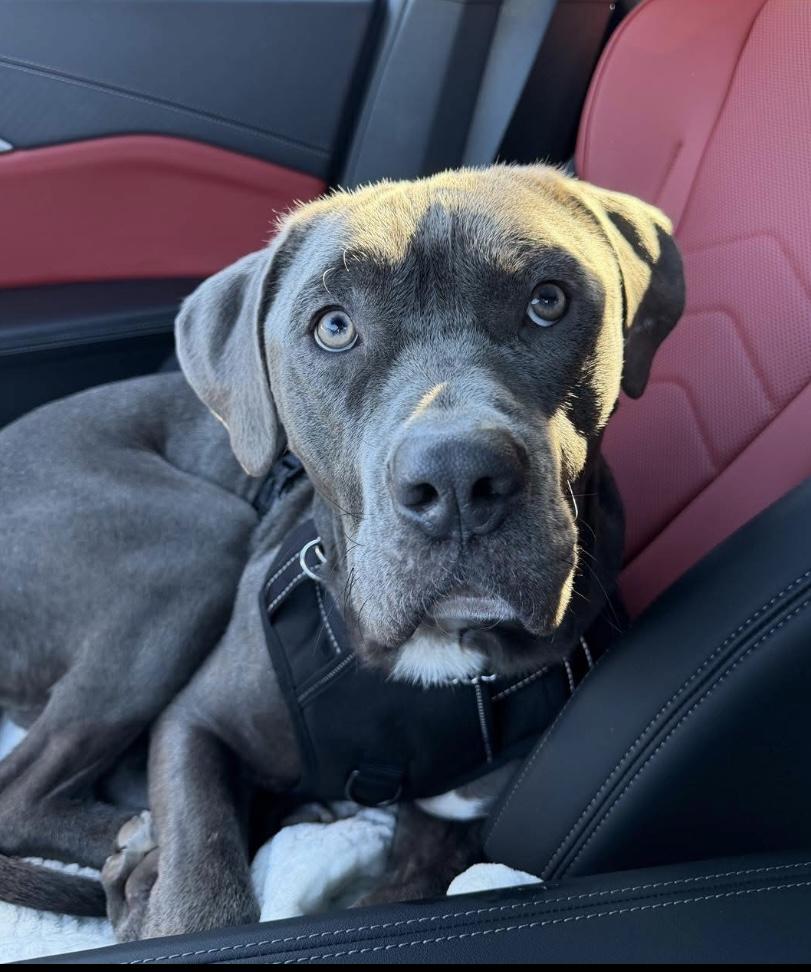 Mr. Putnam thumbnail 6