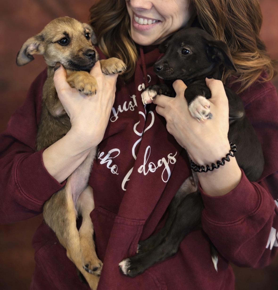 Enlarge Maple, a ADOPTABLE mixed breed in Huson, MT image 6/6