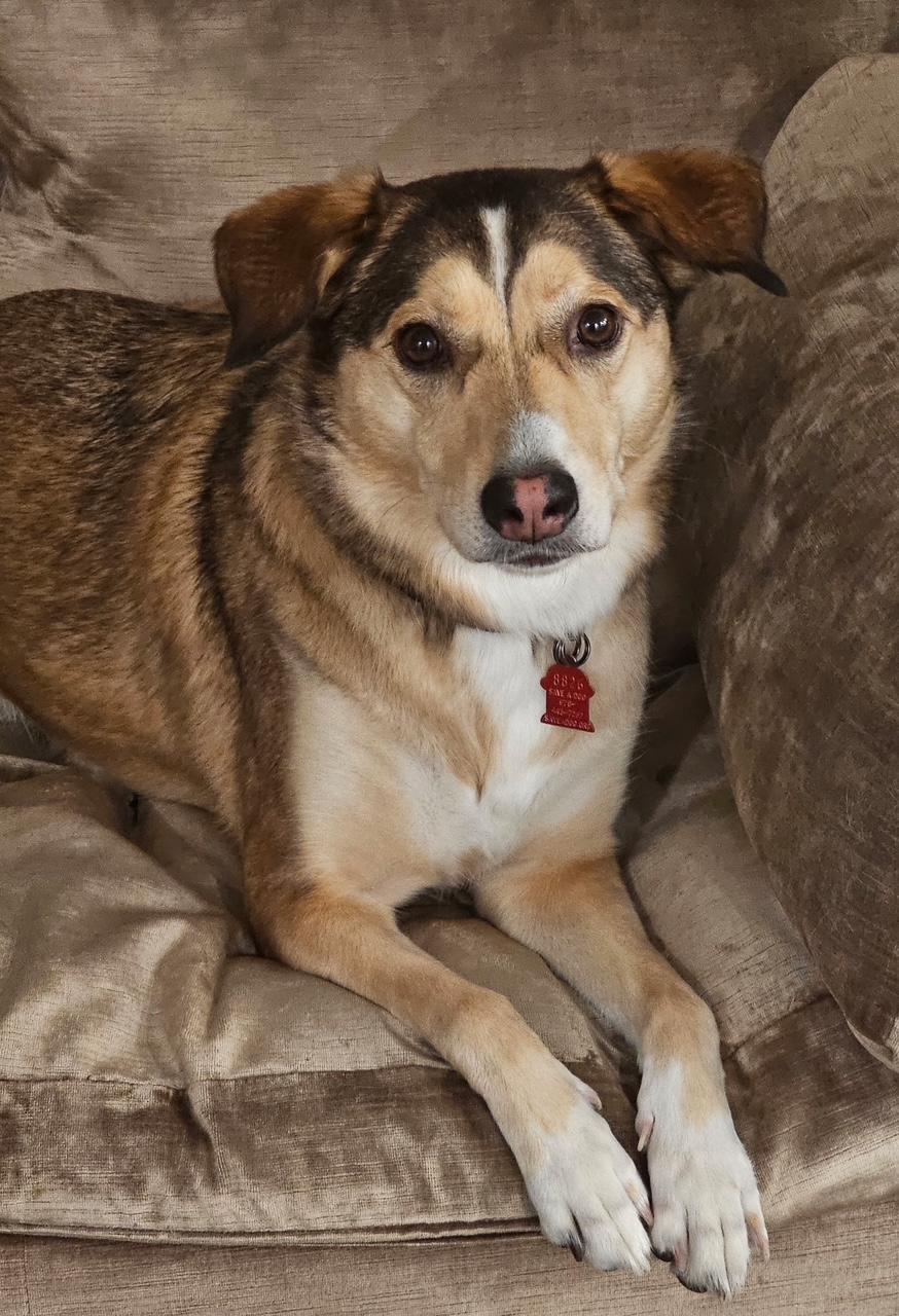 Annie photo