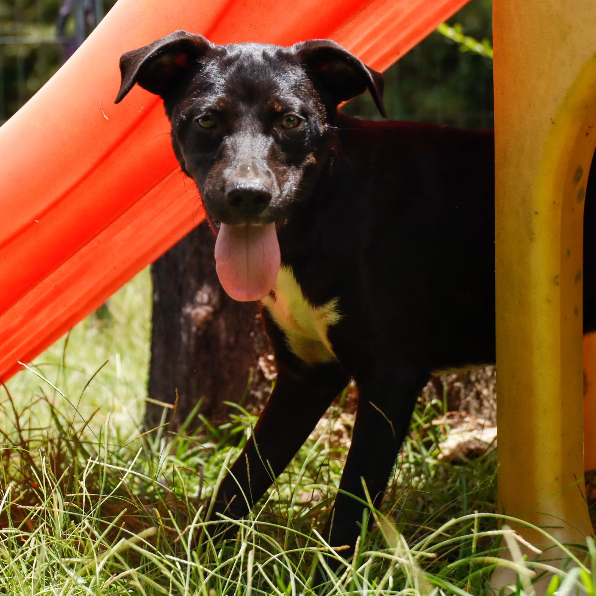 ELLIE — thumbnail 2