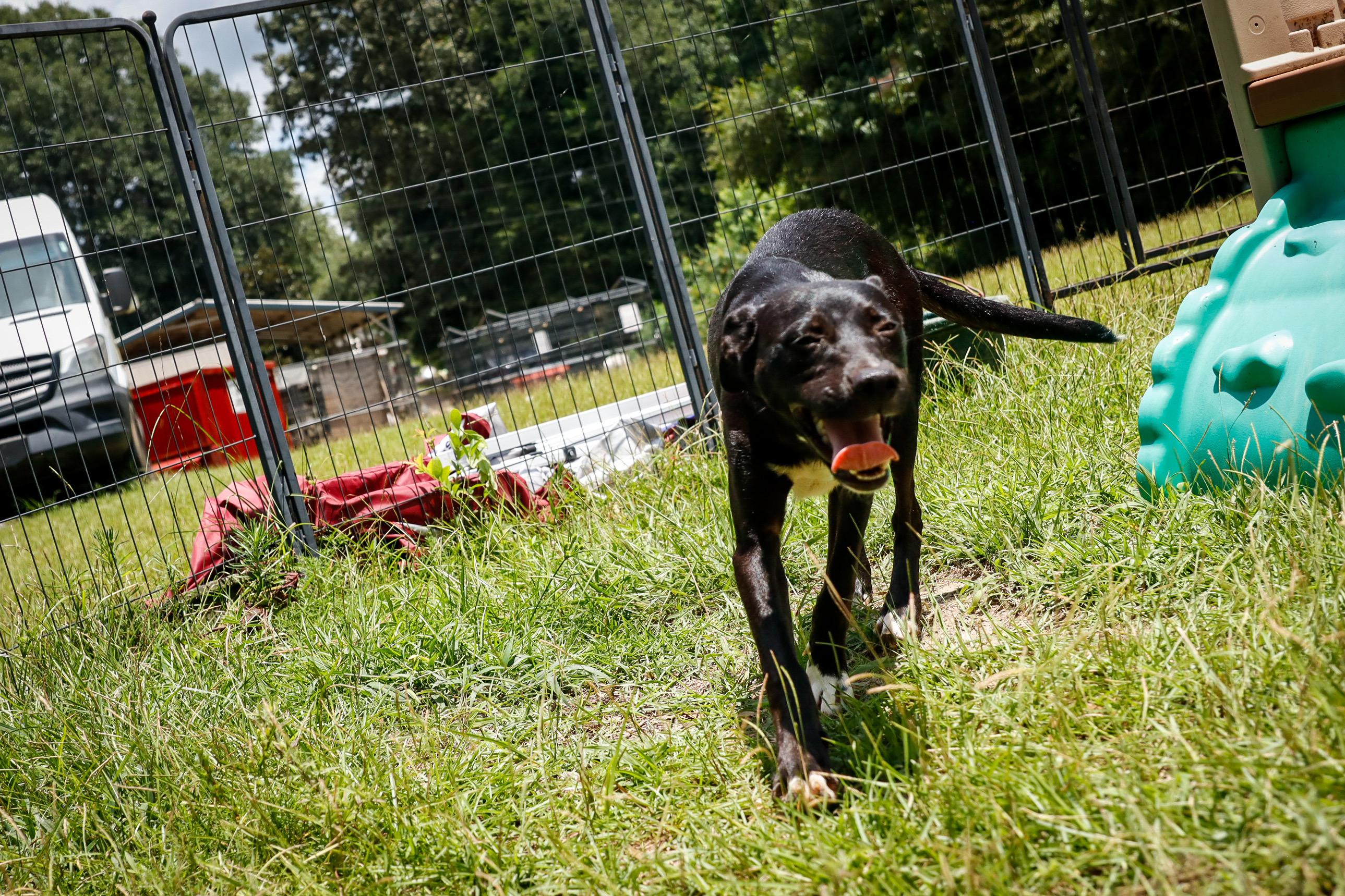 ELLIE — thumbnail 3