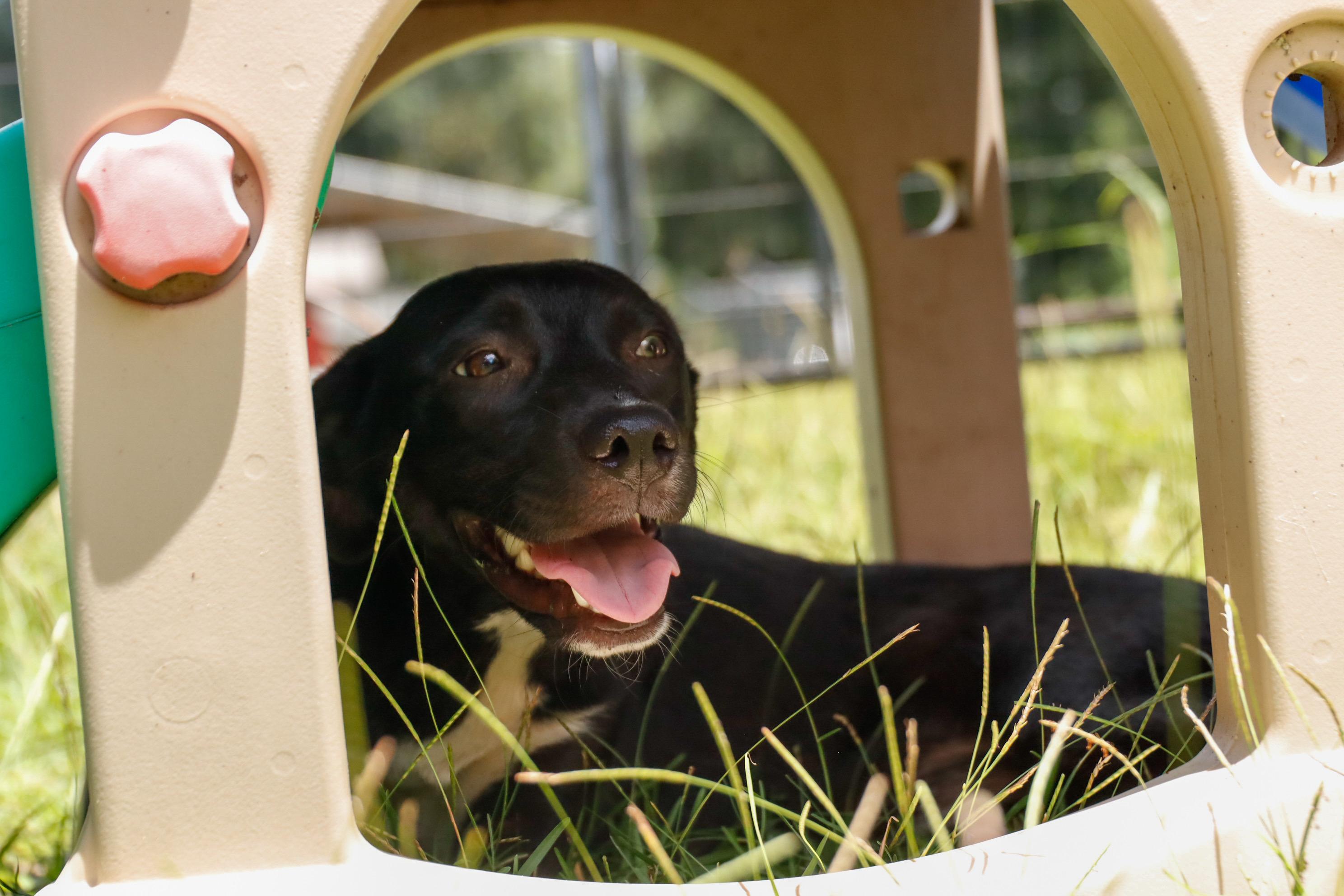 ELLIE — thumbnail 4