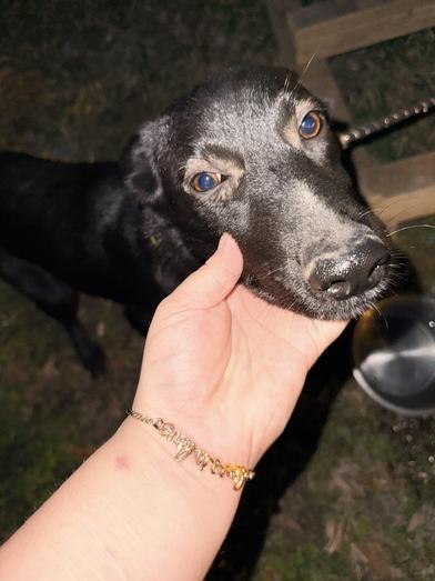 Piglet — thumbnail 3