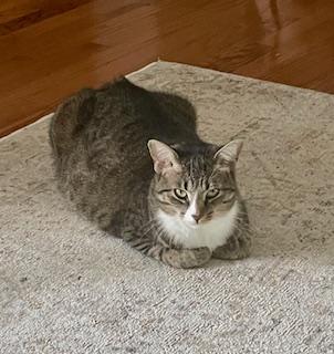 Winkie (Courtesy Post)