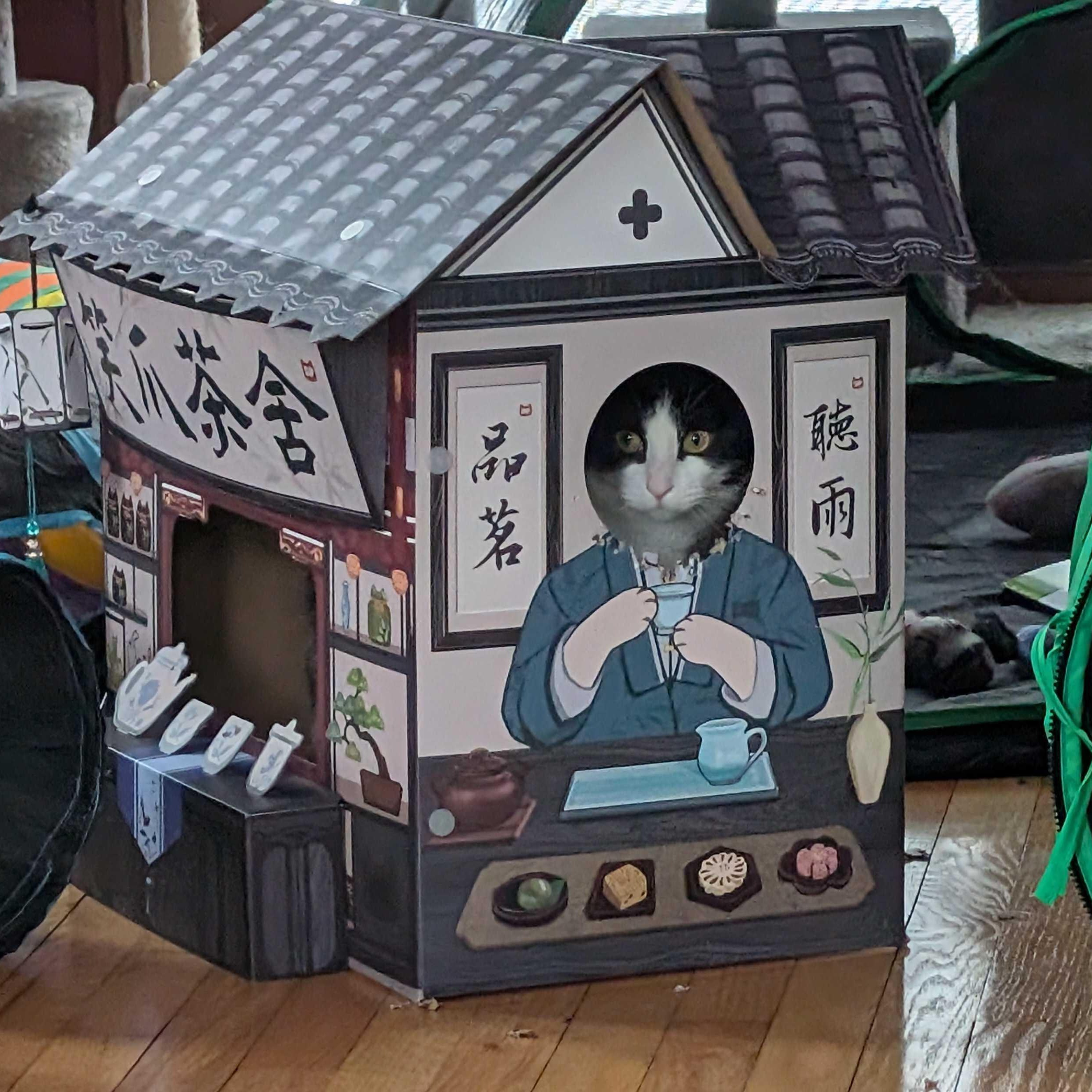 Enlarge Dopey , a ADOPTABLE Domestic Short Hair in Wakefield, QC image 2/6