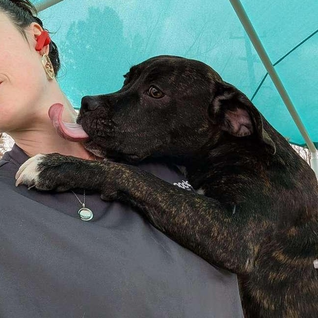 Harrison Ford — thumbnail 3