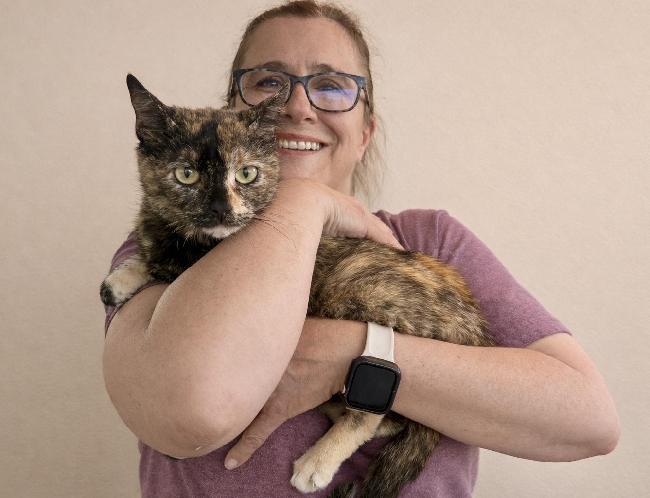 Enlarge Miranda, a ADOPTABLE Tortoiseshell in Bethel, CT image 4/6