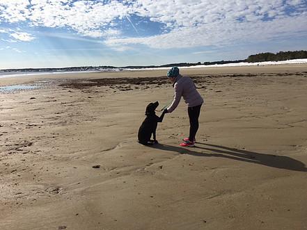 Becky - in Maine, a Adoptable mixed breed in Kennebunkport, ME image 5/12