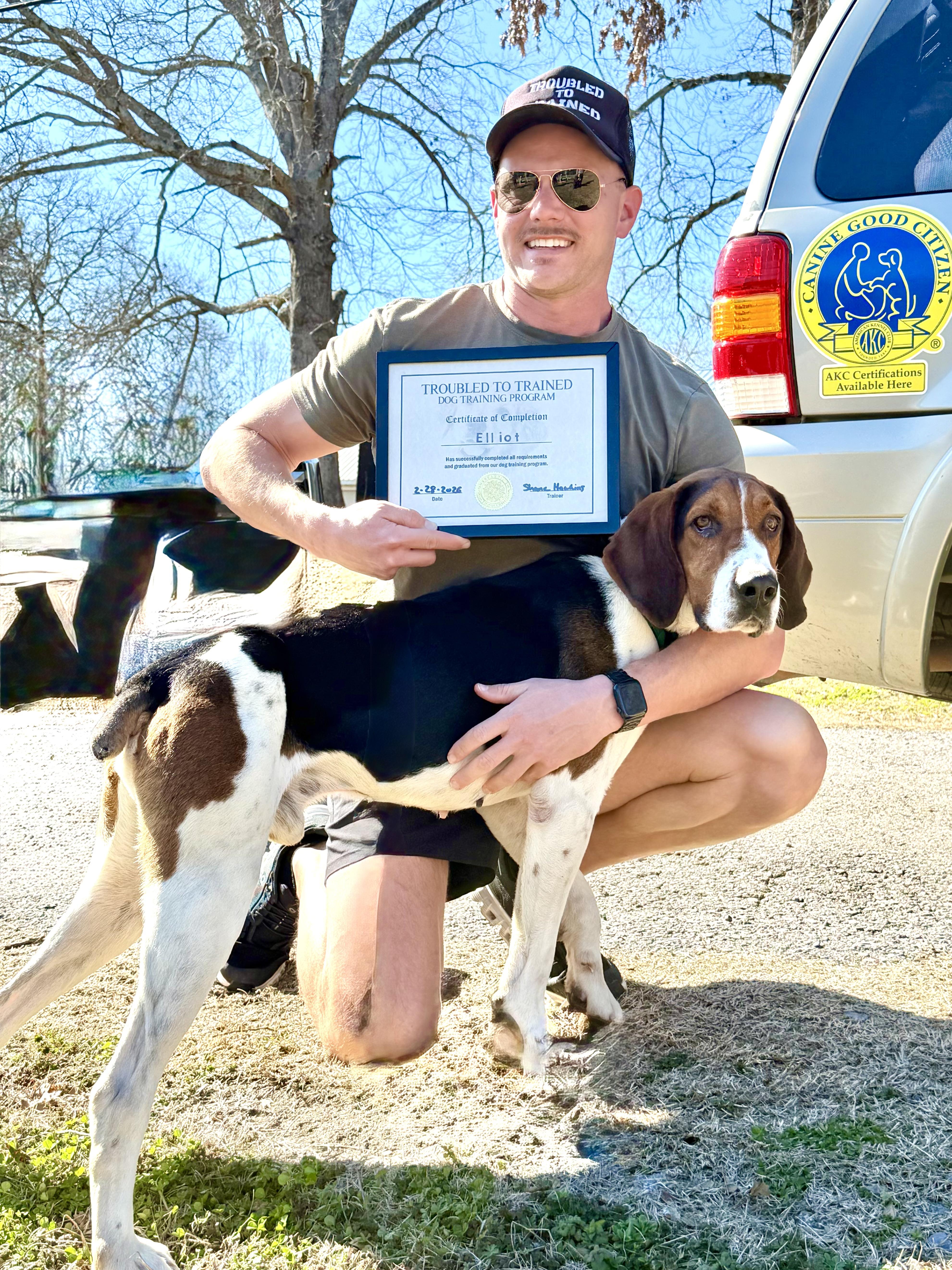 Enlarge Elliot, a ADOPTABLE Treeing Walker Coonhound in Maryville, TN image 2/6