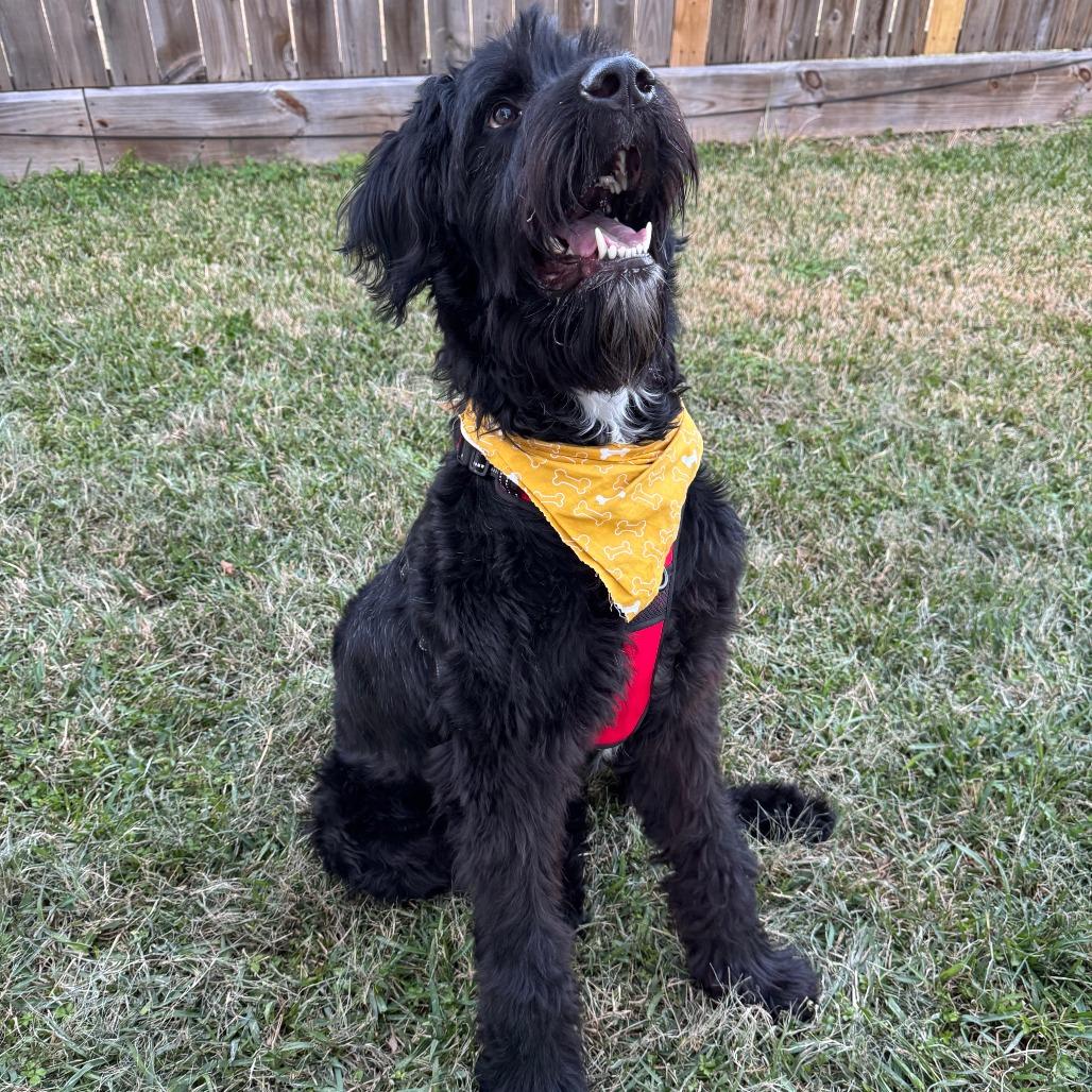 Marshall thumbnail 2